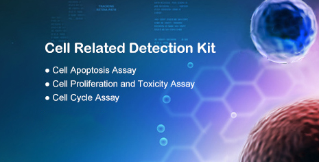 Our manufacturer Elabscience offers a variety of Cell Lines and Cell Related Detection Kits. More about Cell Related Detection Kits: elabscience.com/edm/aedm-2019/… numerous Cell Lines: sz-sc.com/cell-lines Let’s talk at our table during the #SYStem_2021