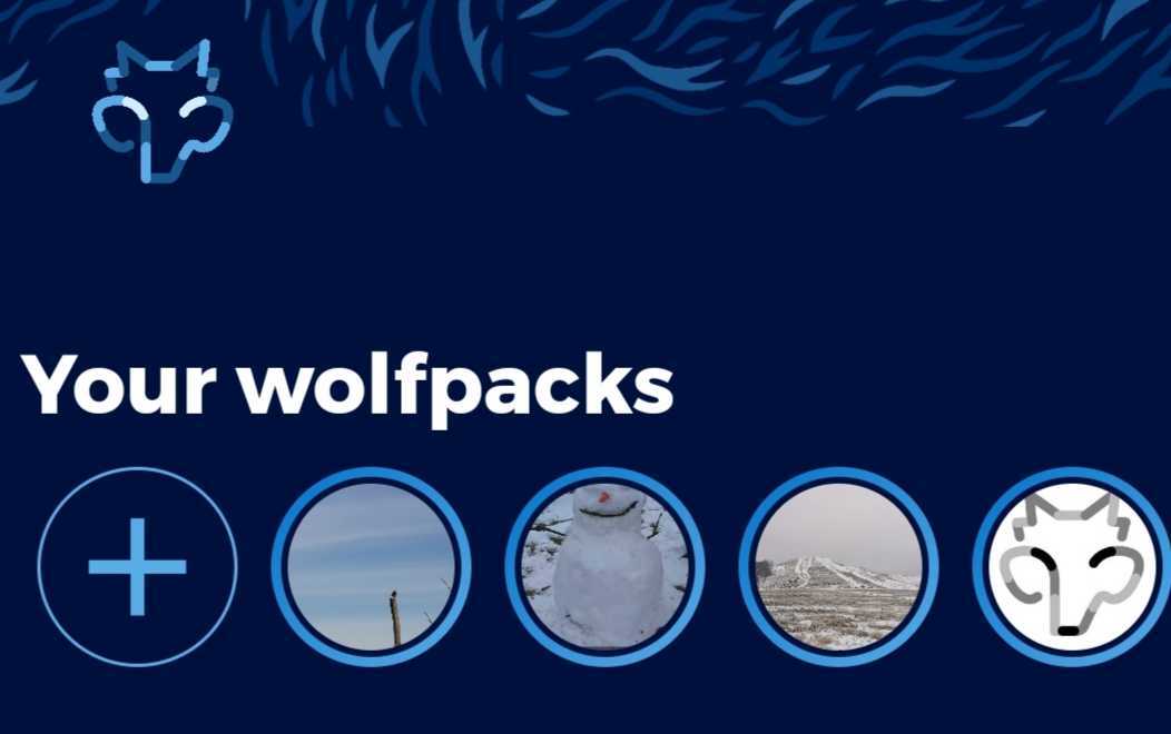 Did you know you can create or join multiple Wolfpacks (communities) on Wolftalk ? 

Each Wolfpack has 🎤audio-only rooms where you can drop in and join the conversation. 

We are currently in private beta but pushing out invites every week  🔥 beta.joinwolftalk.com