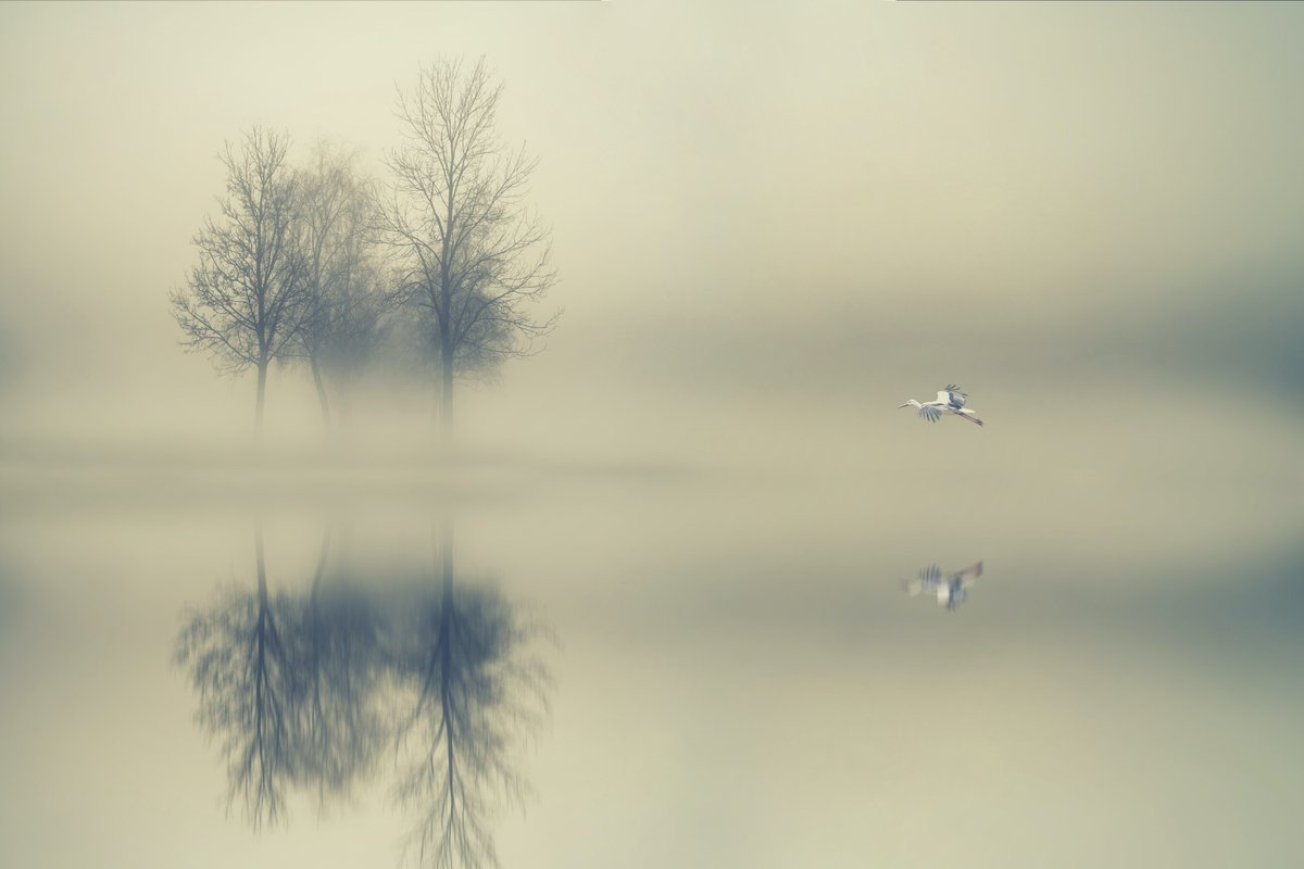jroberts1324's tweet image. Pursuit of the written word is a solitary flight, words mirror the images of the mind. J. Roberts photo by J. Plenio