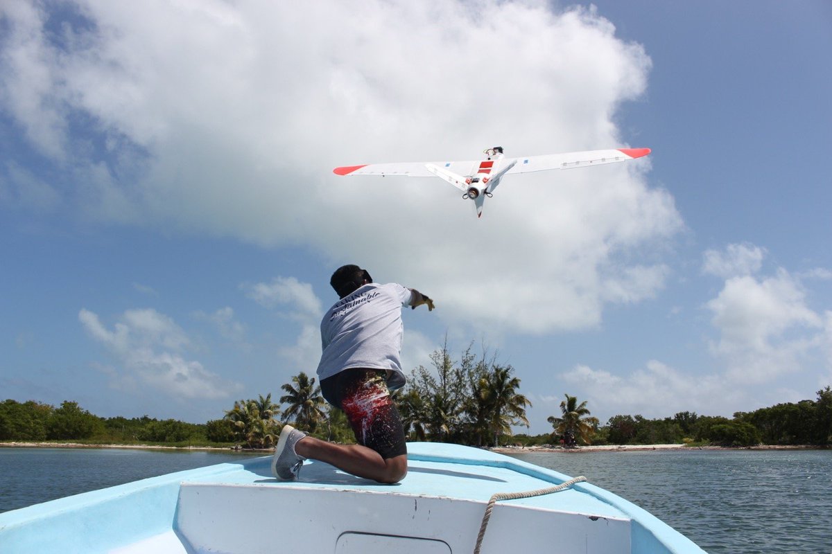 Hi @WILDLABSNET here are our #tech4wildlife shots from the field taken by @threewmonkeys. We fly big fixed-wing #drones in tropical island locations! These first 4 are from #belize with @TomLetessier1 @Aeromao1 @turneffeatoll