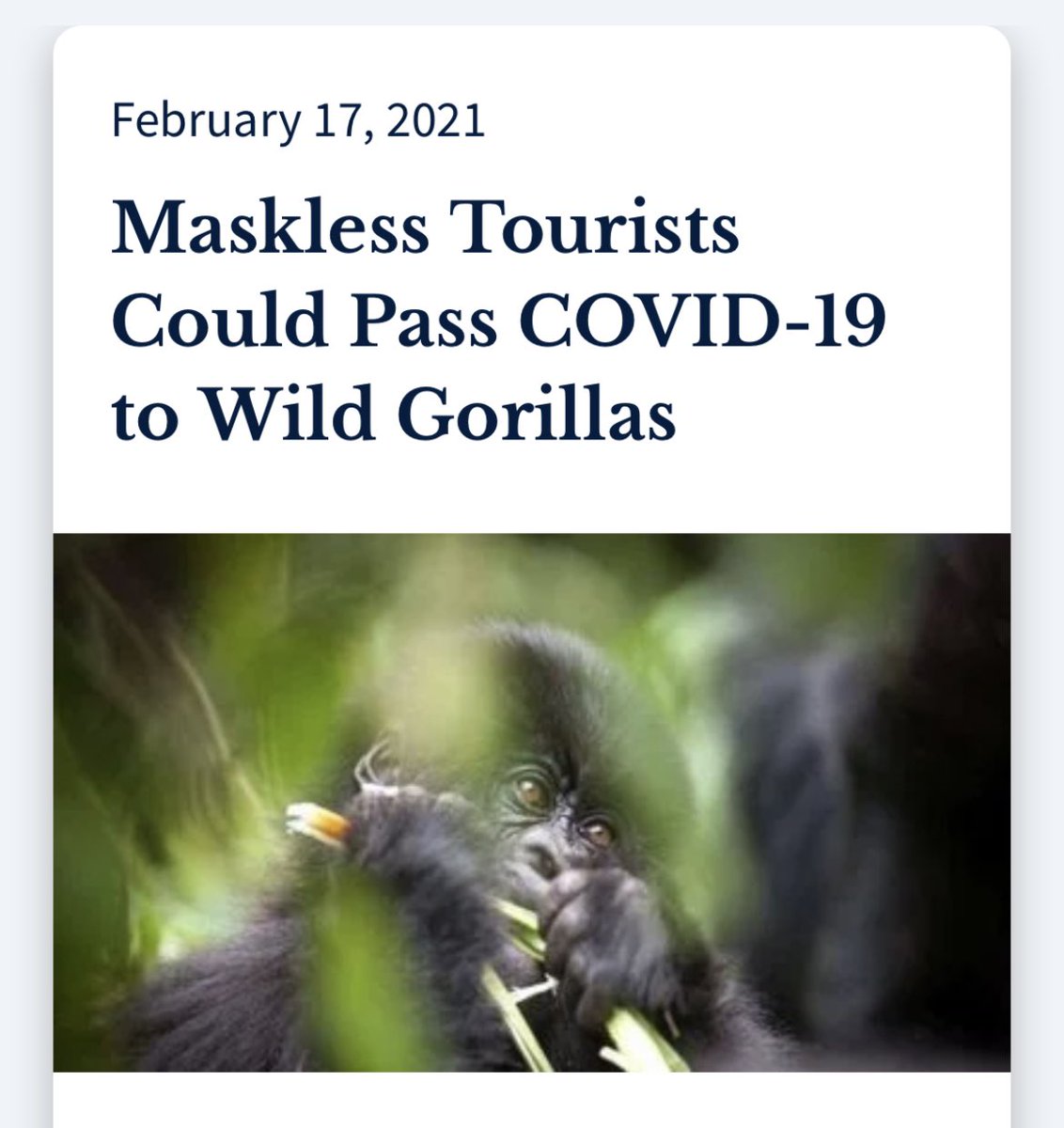 Keith Jordan tweet media