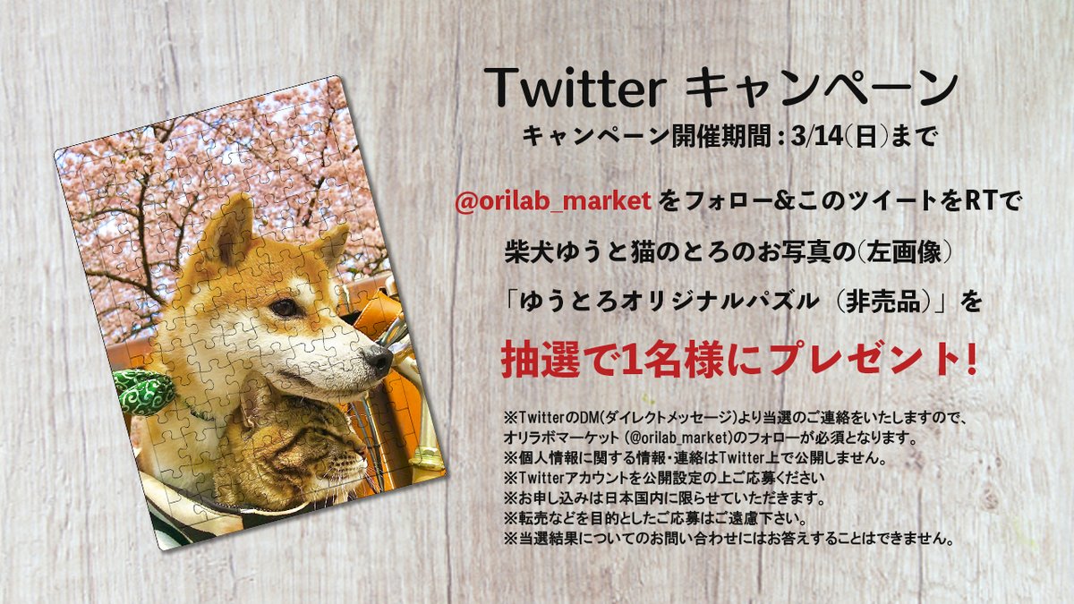 オリラボマーケット 公式 オリジナルグッズ販売 仲良し犬猫兄弟 柴犬ゆうと猫のとろさま Yuandtoro の トートバッグ 全面プリントハンカチタオル シールなど オリジナルグッズ発売中 柴犬ゆうと猫のとろさまの商品一覧 T Co R4n9xz2j1t