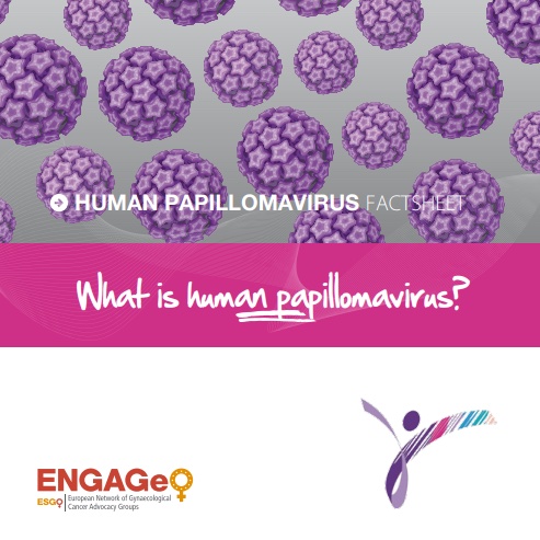 ESGO_society's tweet photo. HPV Awareness Day doesn't have to only be *one* day out of the year. ESGO’s patient advocacy group network, ENGAGe,  prepared this factsheet in several languages so that you can spread awareness about #HPV and #HPVvaccination any day! 💜

👉https://t.co/OA2aH0BbAR https://t.co/NHfi7RkHsR