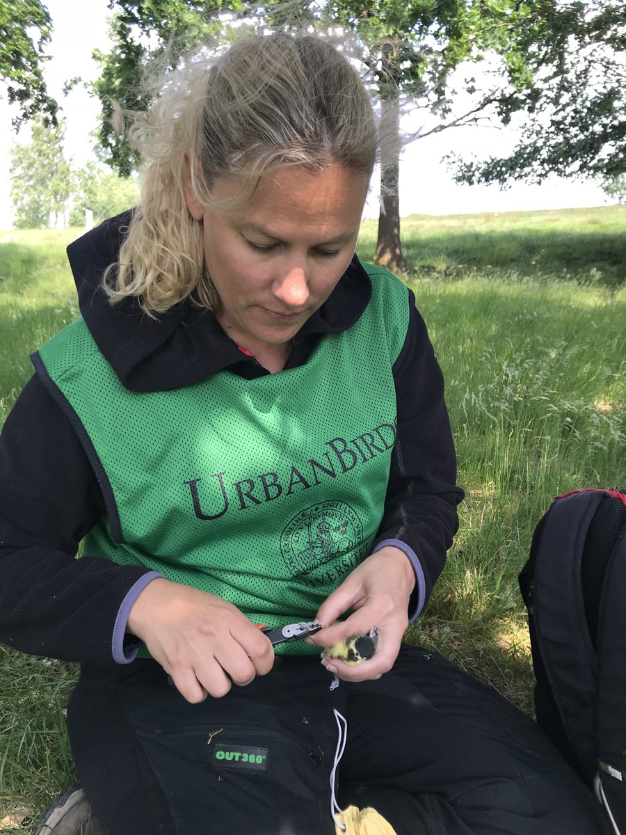 Caroline Isaksson tweet media