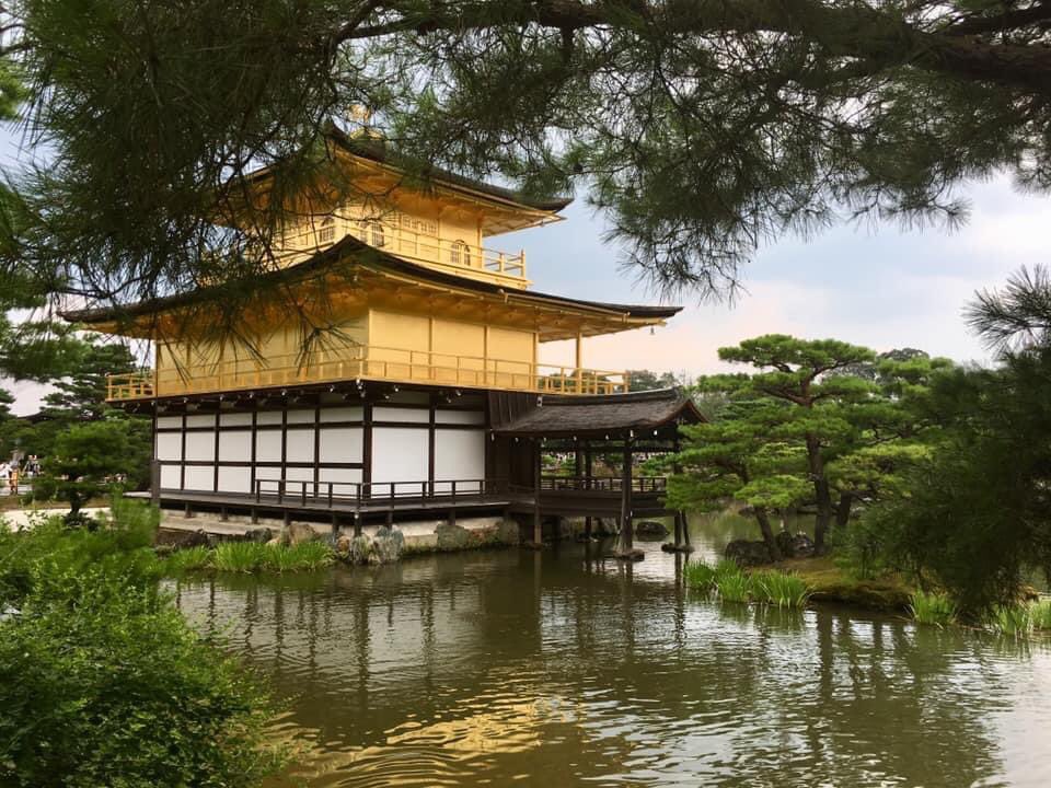 CazHallArt's tweet photo. I hear you calling #Japan I miss #okonomiyaki and the peep peep of pedestrian crossings. I even miss the cicadas mournful calls. #longingtoreturn ❤️ https://t.co/09n3OO1DkP