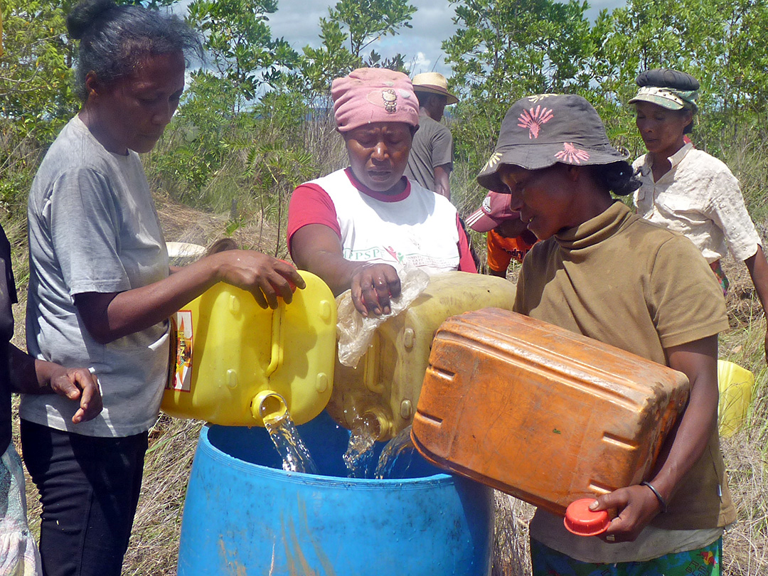 groasis's tweet photo. ,,To restore habitats on arid, rocky and eroded soils, New protected area (NPA) Oronjia (Diana) has adopted the Waterboxx® and Cocoon method"
@IUCN @FAPBM @mobotgarden
#madagaskar #waterboxx #plantcocoon #reforestation #biodiversity #sustainable_funds #ecosystemvalue
#fapbm #mbg https://t.co/ttUW0OyW3F