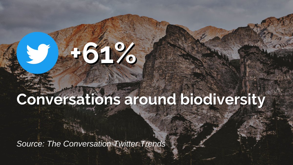 📢People are talking about #biodiversity

Btwn. Dec 2018-Nov 2020, there was a 61% increase in the conversation around #biodiversity according to <a href="/Twitter/">Twitter</a>'s own research

We thank the <a href="/IPBES/">ipbes</a> community for contributing to this conversation every day🦋

👉marketing.twitter.com/en/insights/th…