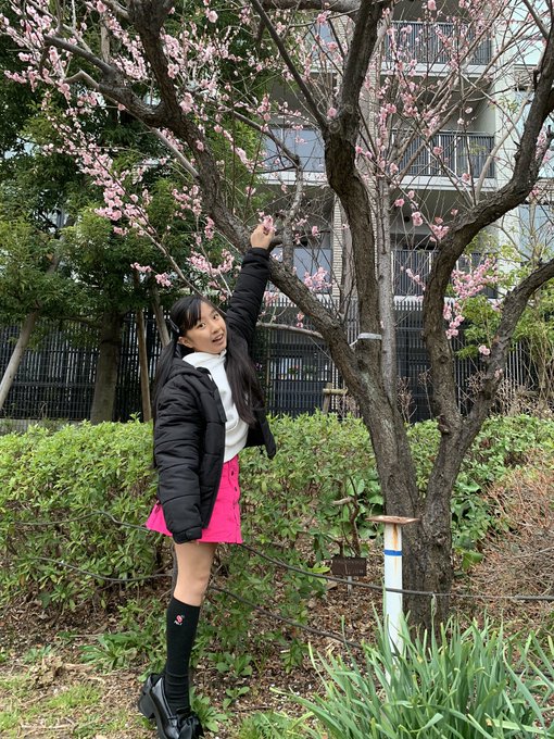 Twitterのコスプレ画像2