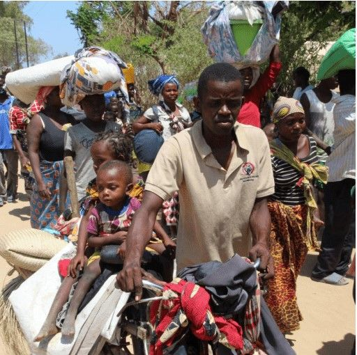 IMBISA's tweet photo. After suffering decades of under-investment, government negligence, and crushing poverty, the province of Cabo Delgado, the poorest in Mozambique, is now the site of a raging insurgency...
https://t.co/cwIsjbfKH1 https://t.co/3e3Clkhu0d
