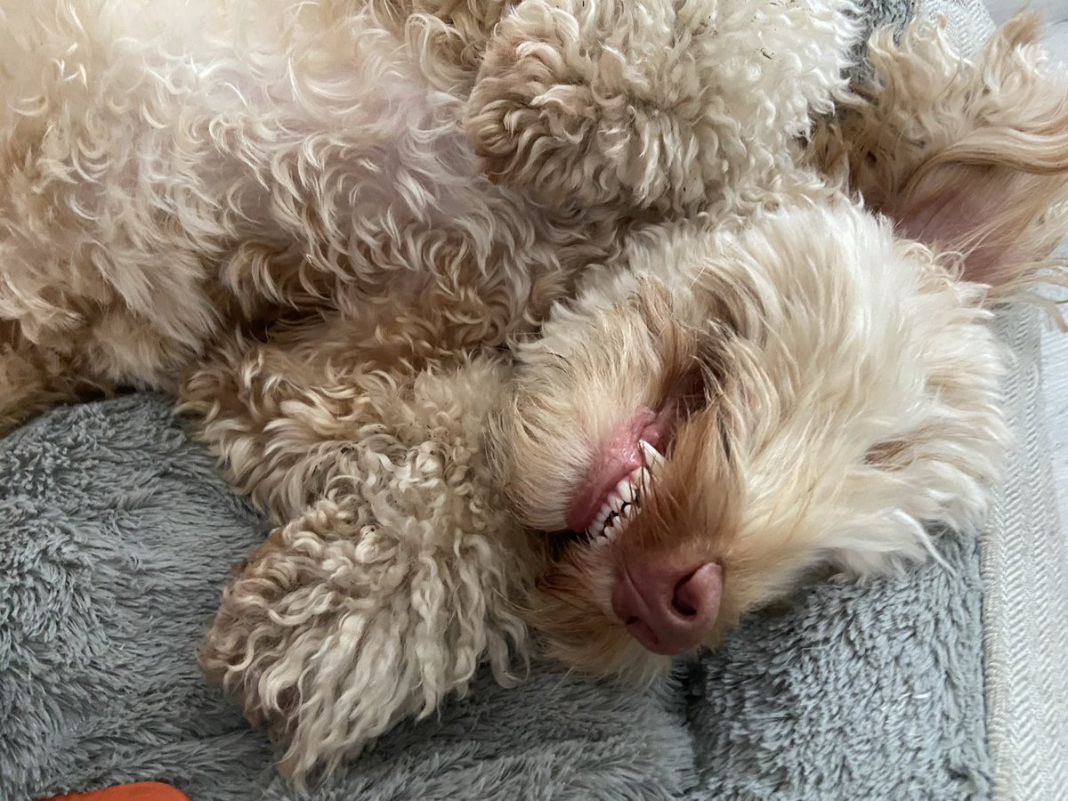 ElliePriorx's tweet photo. @rabbitinahat A smiley Ernie to hopefully help you smile 😁 https://t.co/2dE79vZcbH
