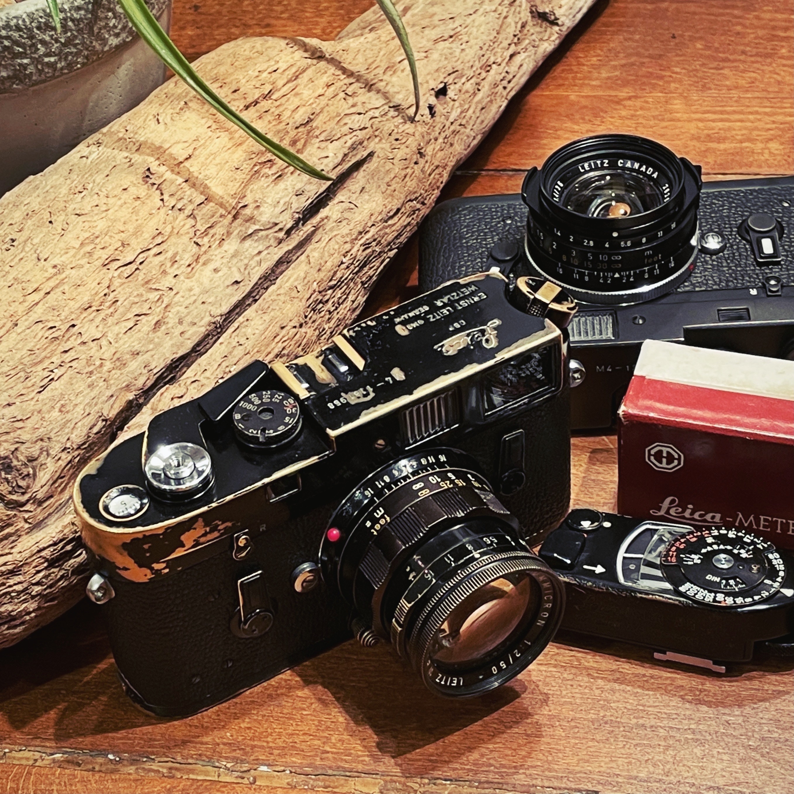 FLASHBACK CAMERA on X: FLASHBACK CAMERA on X: