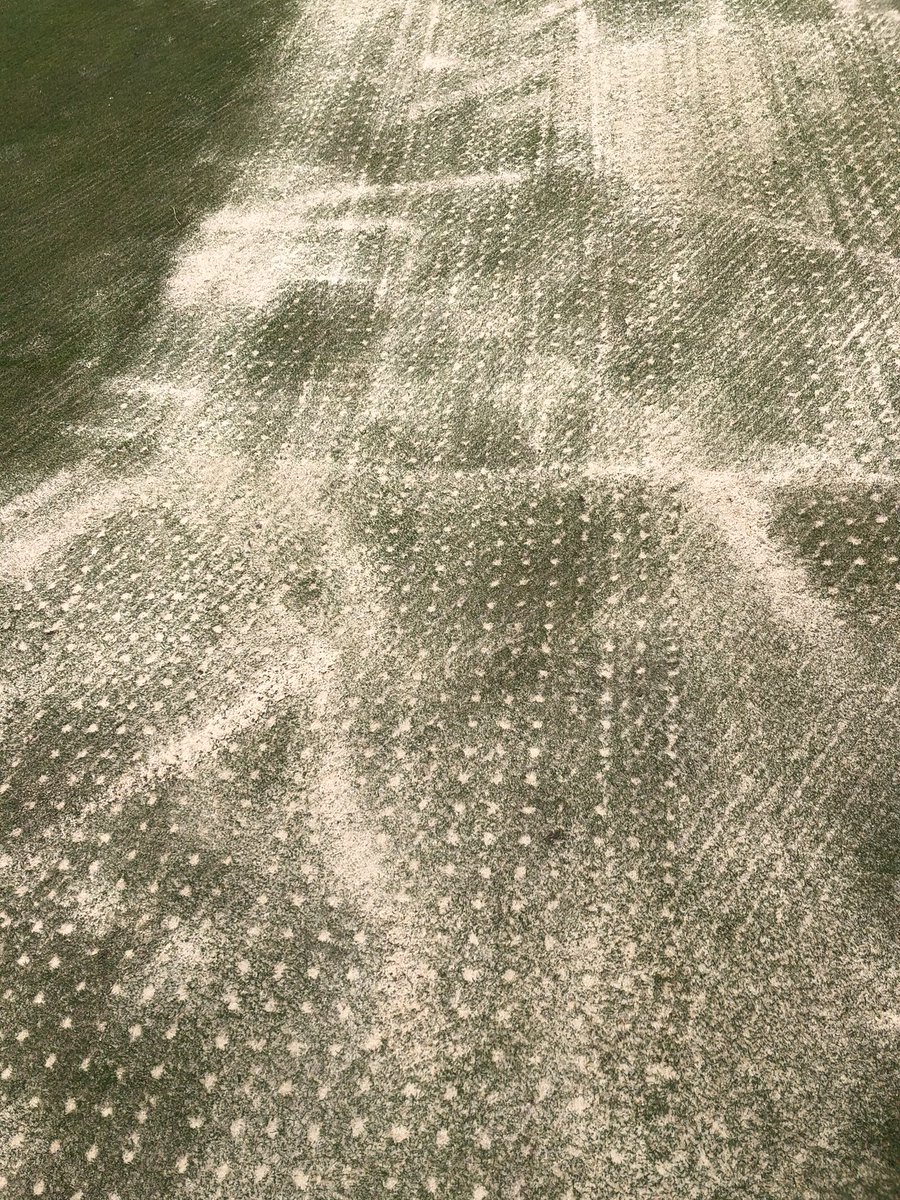 GreenkeepersKGC's tweet photo. Busy week here @KirtlingtonGolf 
Sprinklers getting moved! Wet areas on greens hollow tined and sanded.
Greens seeded 2 passes with straight fescue then brushed and rolled .. Fairways cut! gearing up for the return in a few weeks  @andyaitkens74 @WilliamTerralif @RJNorvilleGolf https://t.co/hBDL8U5IdG