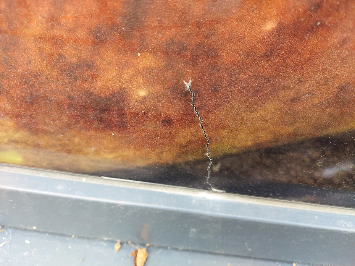 Gateway Express Leeds tweet media