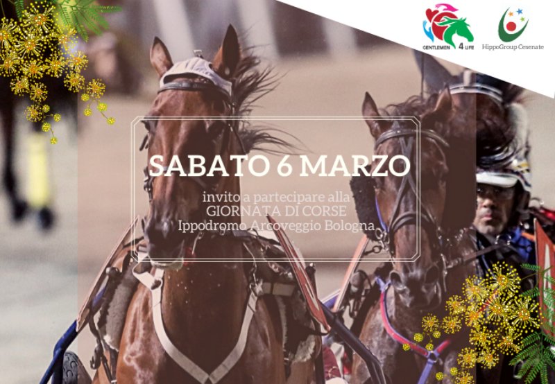 PromoGuidaBo's tweet photo. L' Ippodromo di #Bologna si tinge di rosa in occasione della Festa della donna 💟 e arrivano le #amazzoni! 

Leggila notizia 👉 https://t.co/kTNykCjoXG https://t.co/a3rk1Mt7BP