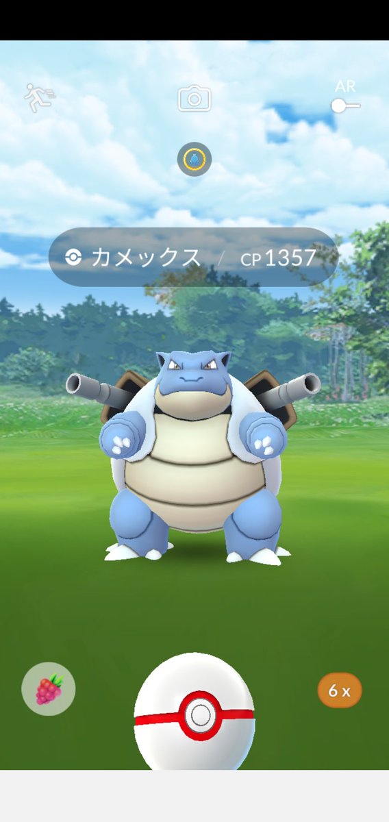 雪光 亀ポケモン改めてこんないたんだな Anipoke 雪光 亀ポケモン改めてこんないたんだな Anipoke