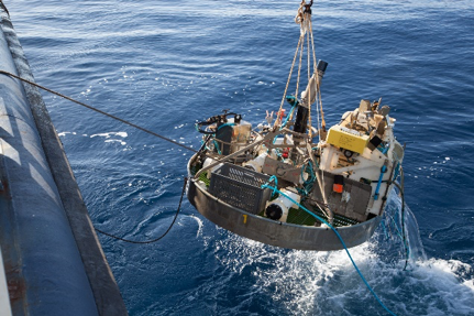 DSBSoc's tweet photo. #DeepSeaExpedition #DeepSeaProject
EMSO-Azores #deepsea observatory: 10 years of monitoring the Lucky Strike vent field (Mid-Atlantic Ridge)
https://t.co/MDRZTXxRjH
#DeepSeaLife16 https://t.co/Z1jqXGIEoY
