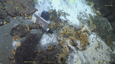 DSBSoc's tweet photo. #DeepSeaExpedition #DeepSeaProject
EMSO-Azores #deepsea observatory: 10 years of monitoring the Lucky Strike vent field (Mid-Atlantic Ridge)
https://t.co/MDRZTXxRjH
#DeepSeaLife16 https://t.co/Z1jqXGIEoY