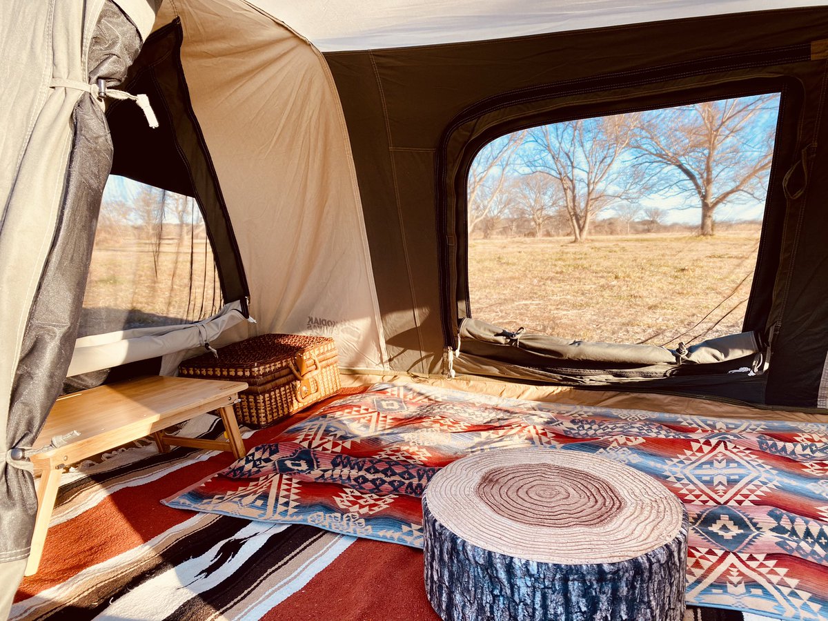 コディアックキャンバス2 www.cliniqueveterinairecalvisson.com