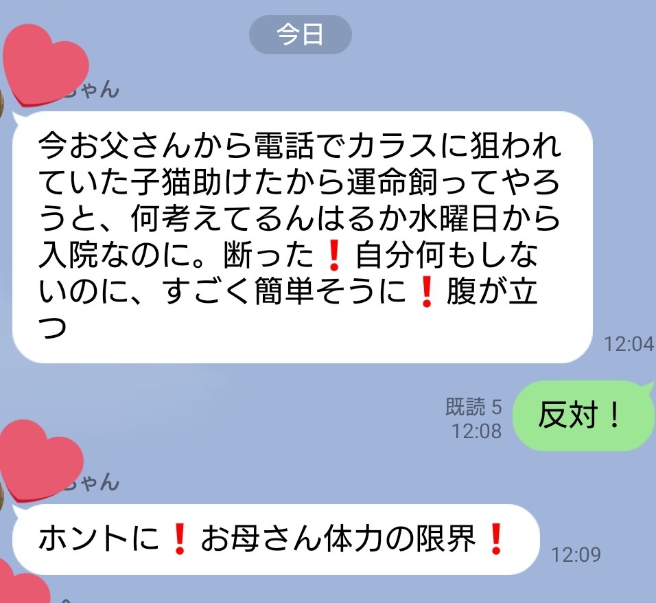 3ヶ月前 カラスに突かれている子猫を発見し救出した親父 3ヶ月後の姿が親子みたいで笑った 何このお父さん可愛い Togetter 3ヶ月前 カラスに突かれている子猫を発見し救出した親父 3ヶ月後の姿が親子みたいで笑った 何このお父さん可愛い Togetter
