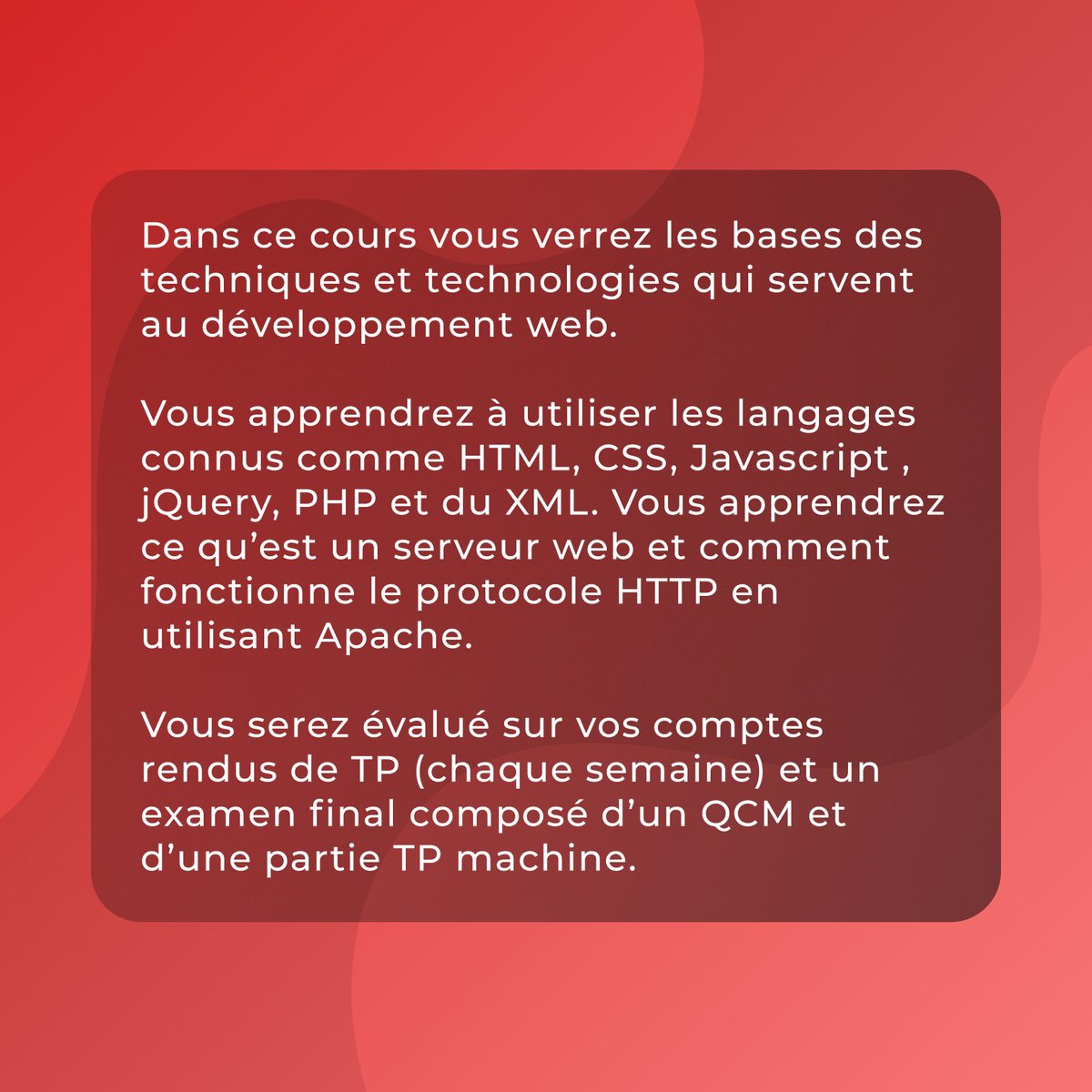 Au menu du jour : Méthodes numériques et Technologie web 📚🍝