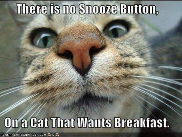 Good fucking morning! ;)