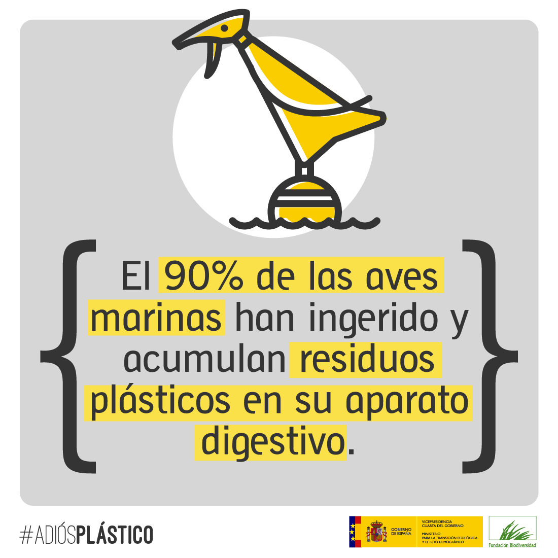FBiodiversidad's tweet photo. Se estima que para 2050 este dato aumente hasta el 9⃣9⃣% de las especies de #AvesMarinas afectadas 🐦🌊

Es el momento de decir #AdiósPlástico 👋 https://t.co/n5fkIbwelC