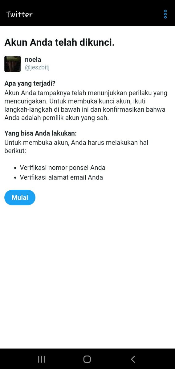 noela tweet media