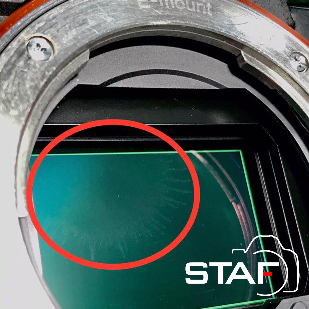 Has intentado limpiar el sensor de tu cámara y te ha pasado esto? Dirígete a profesionales donde puedan garantizar la  limpieza y evitar males mayores.
 
#fotografía #camera #camerarepair #photo #canon #sony #camerarepairservice #nikon #olympus #ricoh #fujifilm #fotografosespaña