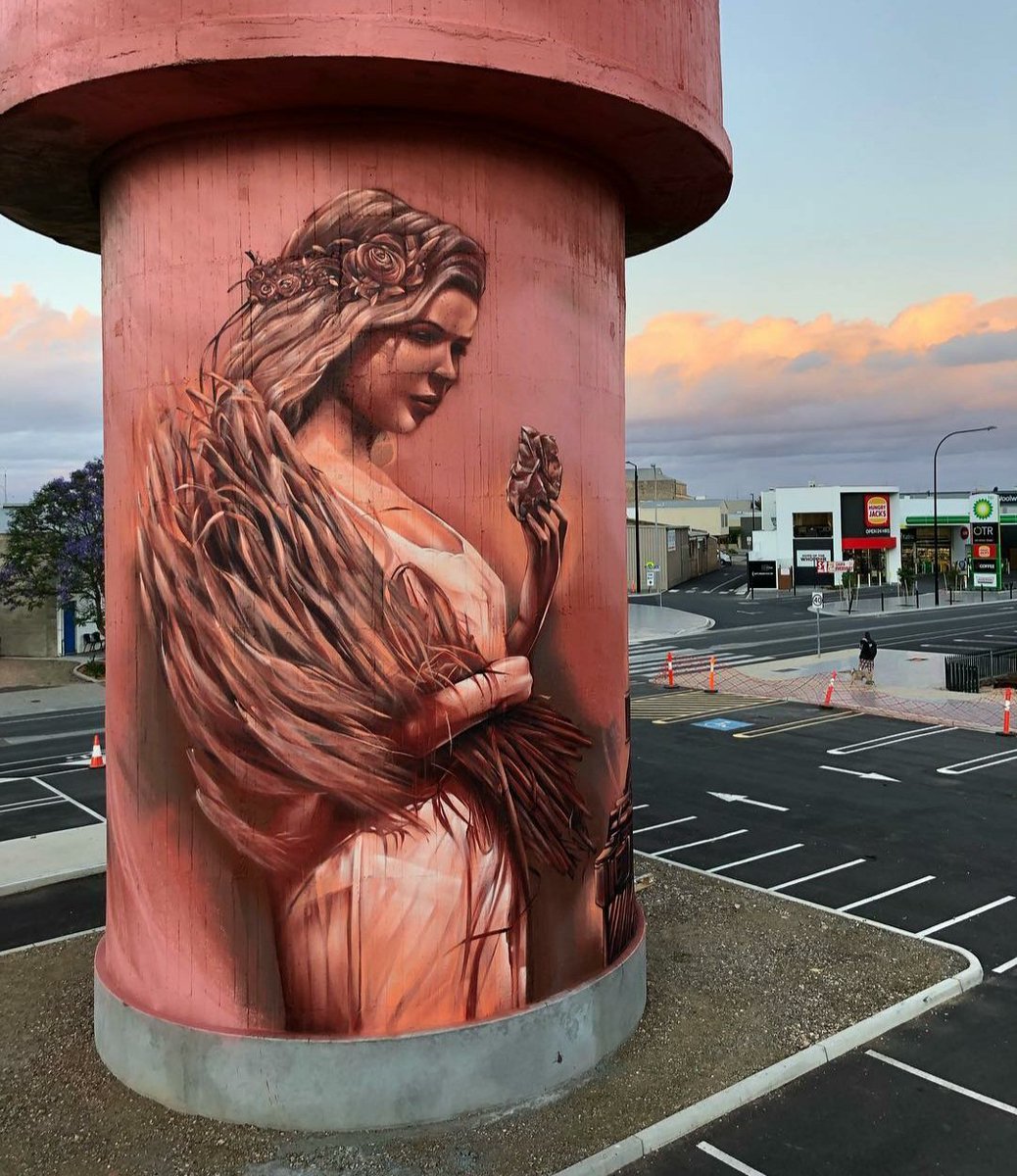 MolinaStreetArt's tweet photo. Art by Australian Resio in Kadina, Australia (2018) 

#resio #urbanart #kadina #kadinastreetart #streetart #lamolinastreetart 

📷 via Insta artist | https://t.co/28qzLGQR2h https://t.co/LozvZ7fFpR