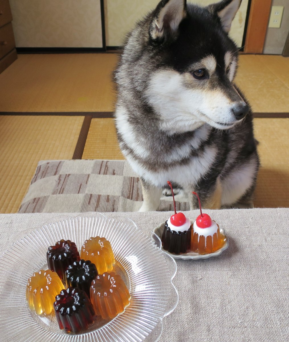 Yachiyachi V Twitter 100均のカヌレ型で 珈琲ゼリー 紅茶ゼリー 家カフェ おうちカフェ 手作りおやつ