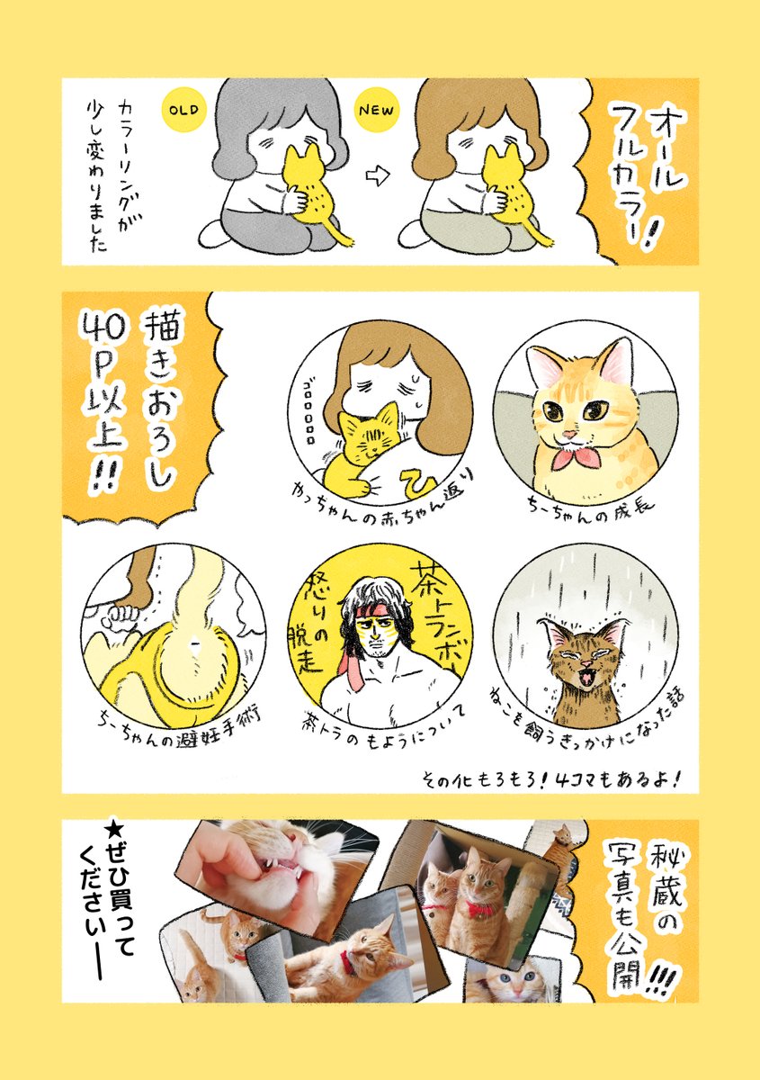 【おしらせ】?やっちゃんのマンガの続編がでます?
「茶トラのやっちゃんとちーちゃん」
2021年4月30日(金)発売 ※電子書籍も同日発売
定価1,100円(税別)
2021年6月4日(金)23:59までにAmazonで予約購入するとスマホ用壁紙3種がもらえます?
ぜひゲットしてくださいね!
https://t.co/jJcVy9sgeJ 