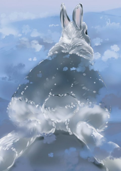 ウサギー山脈(裏側) 