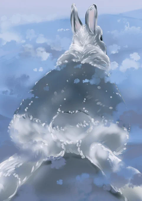 ウサギー山脈(裏側) 