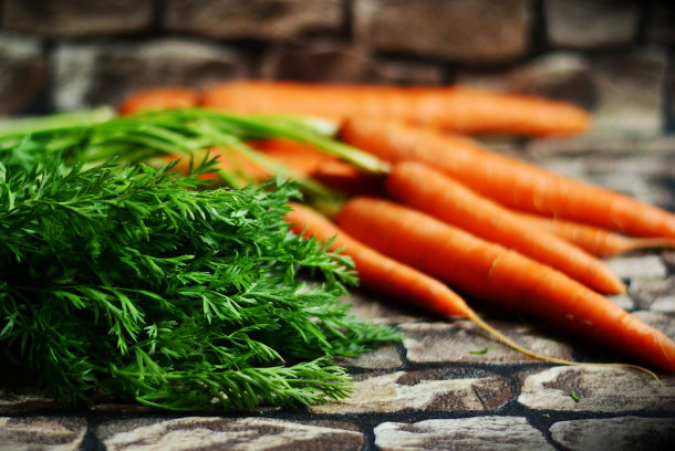 epicuruscom's tweet image. Carrots in Parsley Sauce - epicurus.com/food/recipes/c…