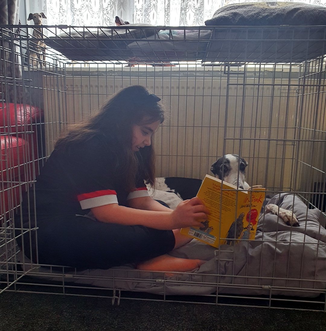 RoperJennie's tweet photo. @SomersHeath5 Daisy enjoys a good read just as much as Isabella! #shps #extremereading https://t.co/e1NboMSKP4