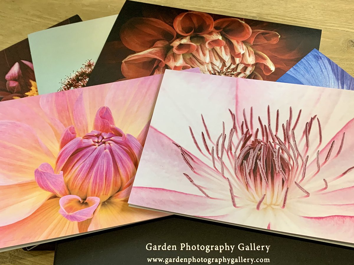 What a lovely gift. Greetings cards from <a href="/TheGPGallery/">Garden Photography Gallery</a> Thank you! 😄