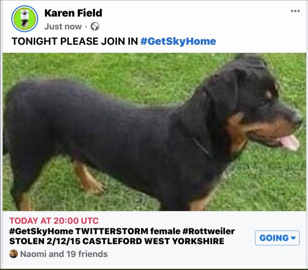 Stolen Missing Longtimelost 🐾Where Are They All (@hunnyjax) on Twitter photo <a href="/lisffc/">lisa loops</a> Mick <a href="/getskyhome/">@getskyhome</a> does Soooo much for other pet owners.. He is a wonderful selfless honest & Caring Gentleman..😇 Unlike whoever cruelly stole his beautiful Young Rottie back in Dec 2015 💔😡 she could now be anywhere if Sold on... Why has she never been Scanned ? <a href="/lisffc/">lisa loops</a> Mick <a href="/getskyhome/">@getskyhome</a> does Soooo much for other pet owners.. He is a wonderful selfless honest & Caring Gentleman..😇 Unlike whoever cruelly stole his beautiful Young Rottie back in Dec 2015 💔😡 she could now be anywhere if Sold on... Why has she never been Scanned ?