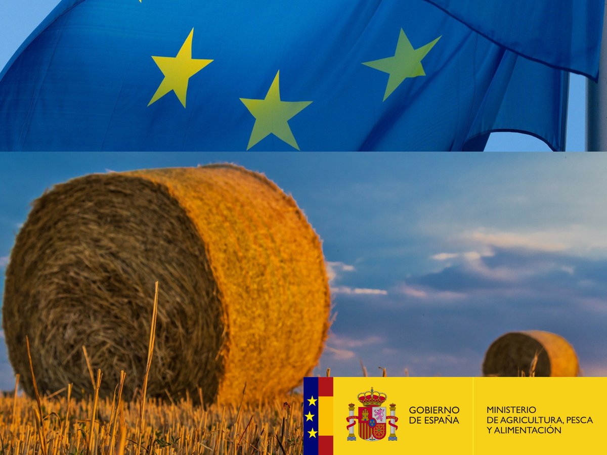 🔴#UltimaHora El #Gobierno celebra la suspensión temporal de aranceles entre #USA y la #UE Ministro @LuisPlanas 🗣️“Se trata de una excelente noticia para el conjunto del sector agroalimentario que se ha visto injustamente afectado por estos #aranceles” 👁‍🗨bit.ly/3c3pGqG