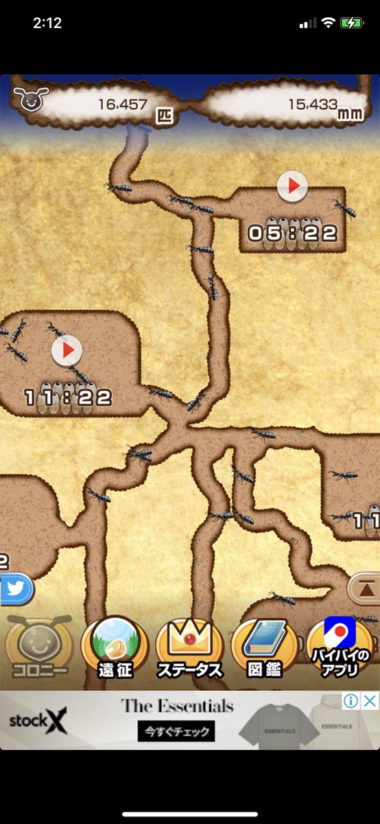 アリの巣コロニー