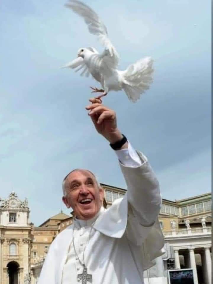 قداسة الحبر الٲعظم....تحديكم لكل المخاطر التي قد تواجه قداستكم لا سامح الله  واصراركم علی زيارة العراق وٲقليم كوردستان دعوة شجاعة لنبذ العنف والتطرف والارهاب ورسالة عظيمة لتكاتف جميع المكونات من اجل حياة اكثر سعادة وعدالة وسلاما ....شكرا لانسانيتكم التي تتخطی كل الحدود....