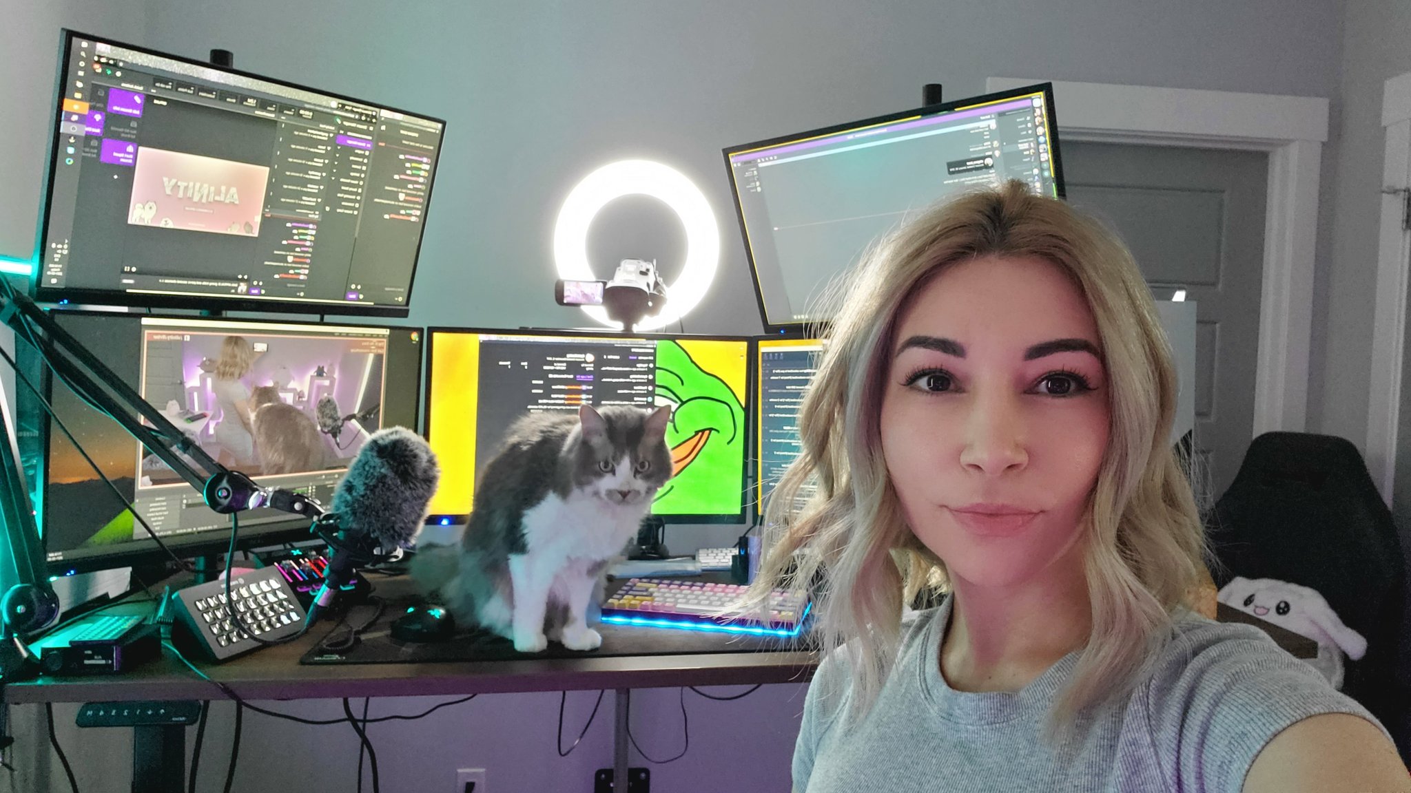Alinity see through
