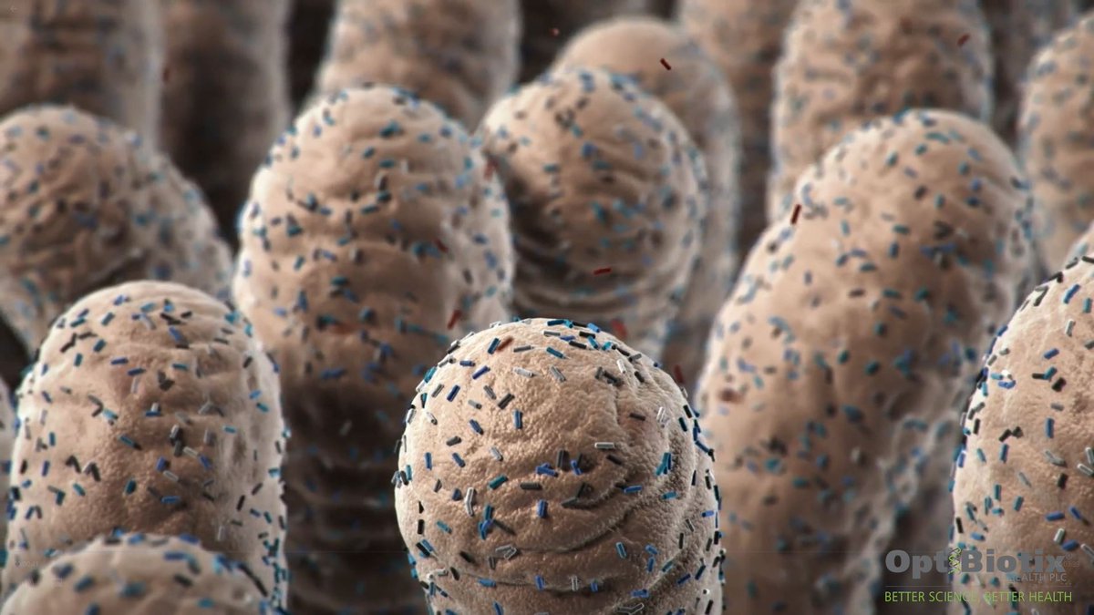 GoFigureDiet's tweet image. The gut #microbiome is fascinating. It's the home of trillions of microbial, bacterial and fungal inhabitants and its state of balance can influence our health. Ensuring you consume sufficient fibre helps to feed the good bacteria found here, thus promoting gut diversity!