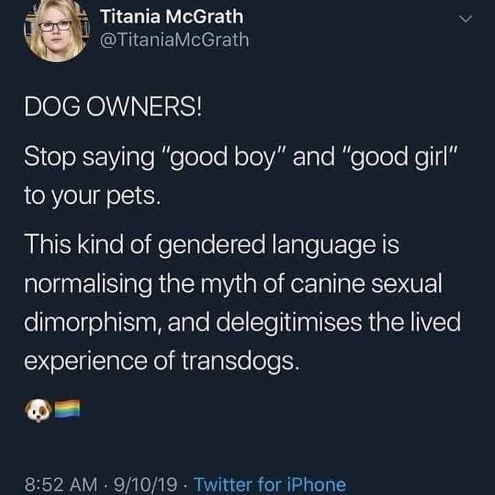 rooneysvilla's tweet photo. @TitaniaMcGrath my boy dog has said he’d like to keep his balls. But wants to be a potato. https://t.co/mRCp9RhtY6