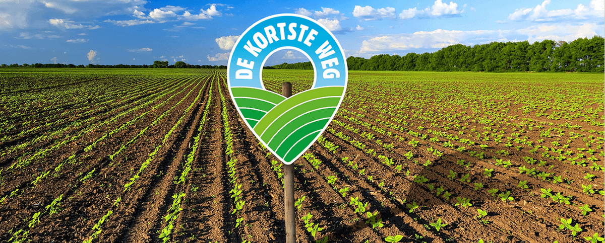 Diverzio tweet media