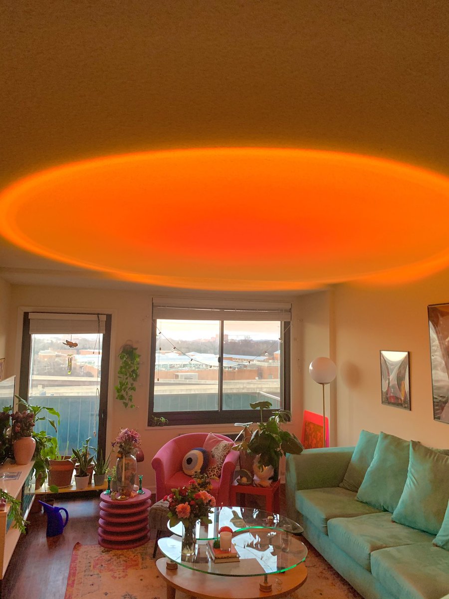 thatgurlxo's tweet photo. Everyone needs a sunset lamp right tf now 🤤 https://t.co/jnllrOUxsq