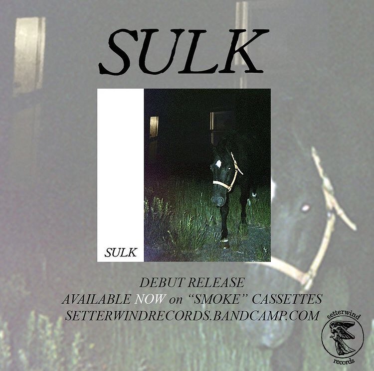 sulkmi's tweet photo. Tapes out now via @setterwindrecs link in bio. All purchases come with buttons and unlimited bandcamp streaming. Thanks to everyone who made it happen and for all the support. https://t.co/SFLSLqRxYK