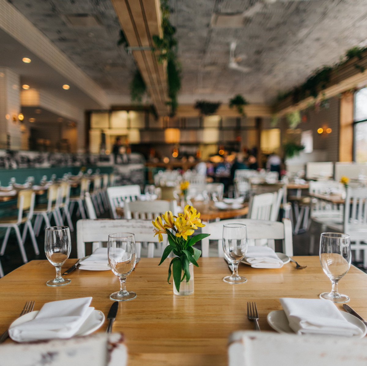 Your mom, grandma, wife, sister or girlfriend would loveee our Unlimited Balkan Experience for #lunch or #dinner, so treat them to it for #InternationalWomensDay. 😍

Book now ambarrestaurant.com/home-page-clar…