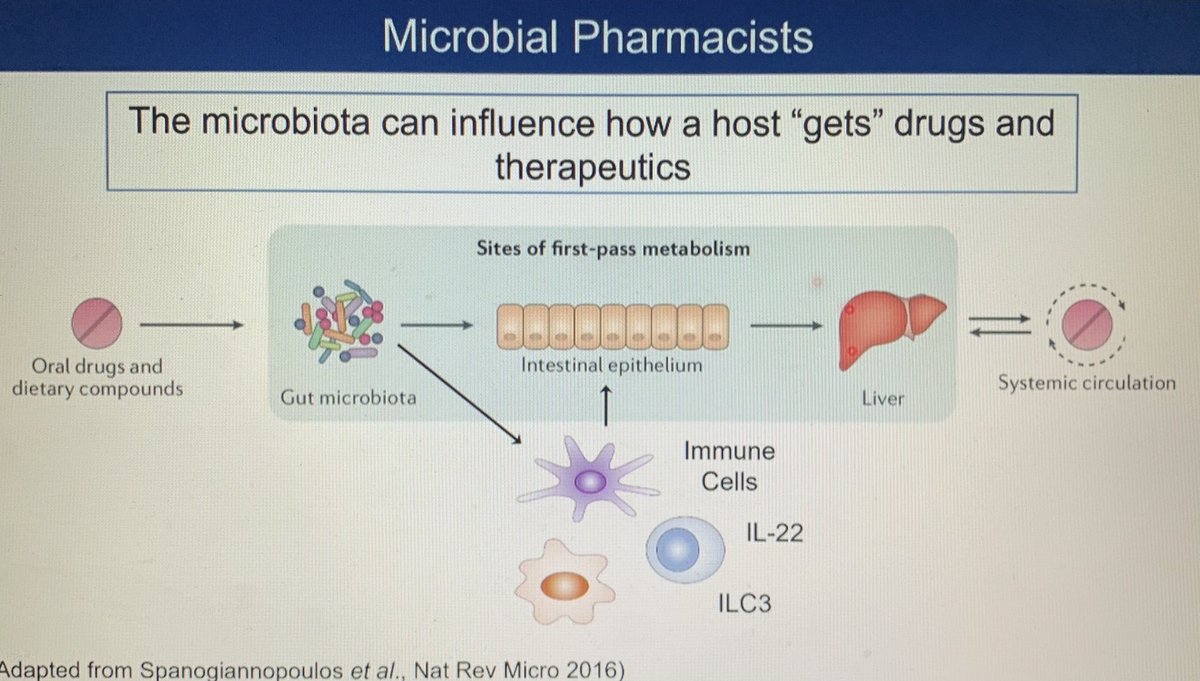 <a href="/kyle_flannigan/">Kyle Flannigan</a> gives a great talk on Pharmacomicrobiomics <a href="/CDDWcanada/">CDDW™</a> <a href="/CanGastroAssn/">CAG</a> #CDDW2021