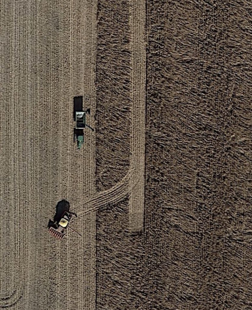 Cordt Holub® tweet media