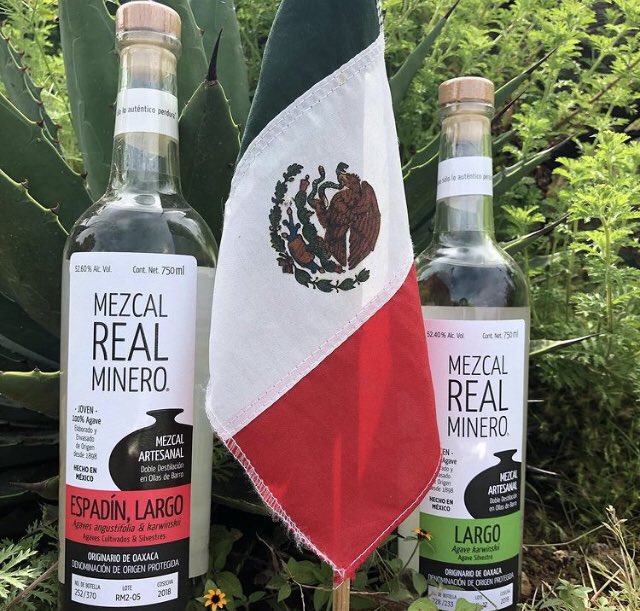 Glotón en México (@glotonmex) on Twitter photo Uno de los grandes orgullos de México es nuestro Mezcal. Bebida que resulta del agave destilado. En Oaxaca se hace de manera tradicional con base el conocimiento que pasa como herencia de generación en generación. Beber mezcal es beber a México!
📸 <a href="/realminero/">REAL MINERO</a> Uno de los grandes orgullos de México es nuestro Mezcal. Bebida que resulta del agave destilado. En Oaxaca se hace de manera tradicional con base el conocimiento que pasa como herencia de generación en generación. Beber mezcal es beber a México!
📸 <a href="/realminero/">REAL MINERO</a>
